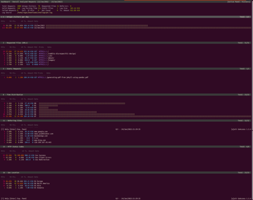 GoAccess terminal output